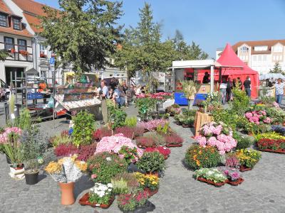 Herbstmarkt in Beeskow