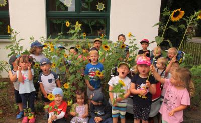 Foto zur Meldung: Wir - die Gemeindekita „Sonnenblume“ in Sülstorf - stellen uns vor!