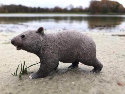 Der Wombat-Weg