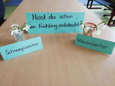 Foto zur Meldung: Frühlingserwachen in der Grundschule Hollstadt-Wollbach