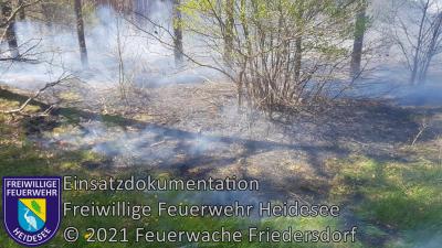 Einsatz 32/2021 | 500m² Waldbodenbrand | Friedrichshof Eichenweg (Bild vergrößern)