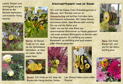Bienenwettbewerb (Bild vergr&ouml;&szlig;ern)