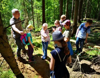Foto zur Meldung: Waldgänge der Klasse 4 mit Förster Andreas Kretschmer