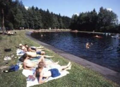 Foto zur Meldung: Schwimmbad oder Badestelle – das Waldschwimmbad in Kirchenlamitz