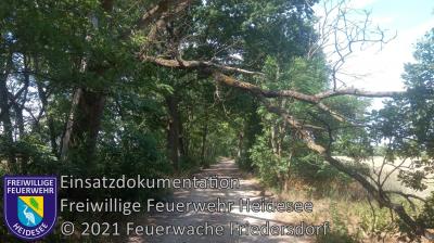 Einsatz 54/2021 | Baum über Straße | Friedersdorf Mühlenstraße (Bild vergrößern)