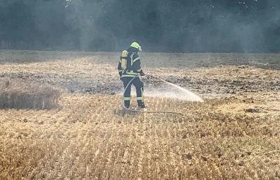 Foto zur Meldung: Ein Funke reichte: Feuerwehren bekämpfen Flächenbrand in Schmalensee