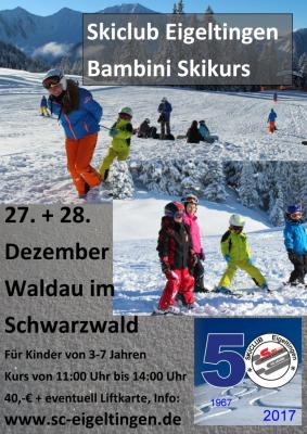Bambini - Skikurs (Bild vergrößern)