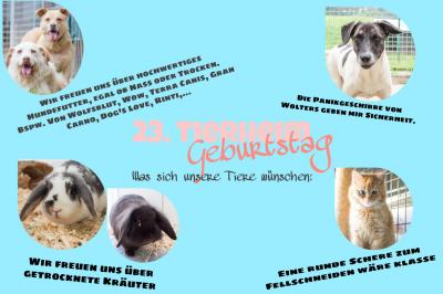23.Tierheimgeburtstag - Wunschzettel (Bild vergrößern)