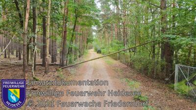 Foto vom Album: Einsatz 76/2021 | Baum in Telefonleitung | Friedersdorf Straße Nr. 4