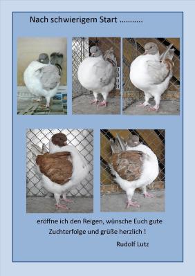 Meldung: Jungtiere 2021 Rudolf Lutz