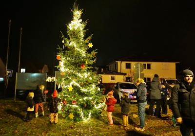 Foto zur Meldung: Der Weihnachtsbaum von Schmalensee ist geschmückt – Willkommen im Advent