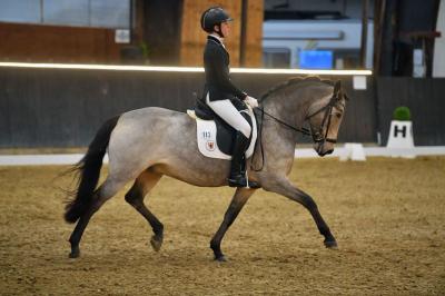 Foto zur Meldung: Emily Grubitz beim Bundesnachwuchschampionat der Ponydressurreiter/-innen