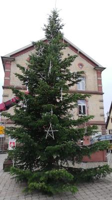Sterne für den Weihnachtsbaum (Bild vergr&ouml;&szlig;ern)