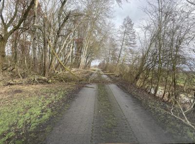 Foto zur Meldung: Verkehrssicherungspflicht der Waldbesitzer und Eigentümer von Bäumen!