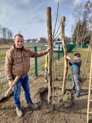 "Gewachsen in Sachsen"    Neue Apfelbäume für den Hortgarten in Hirschfeld