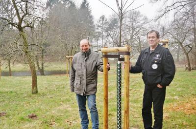 Foto zur Meldung: Schmalensee hat 12 neue Bäume – dank Andreas Harms und einer Spende aus dem Sauerland