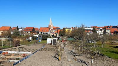 Foto zu Meldung: Spaziergang durch die Peenestadt Neukalen