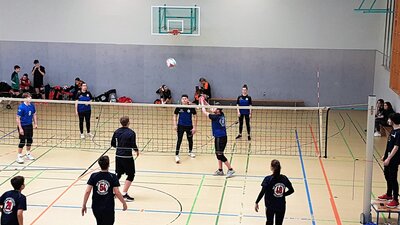 Volleyball (Bild vergrößern)