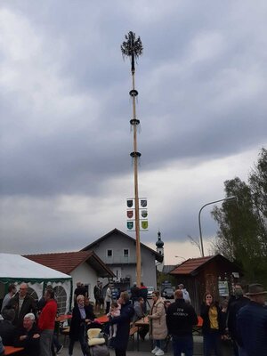Foto zur Meldung: Maibaumaufstellen 2022 in Moosbach