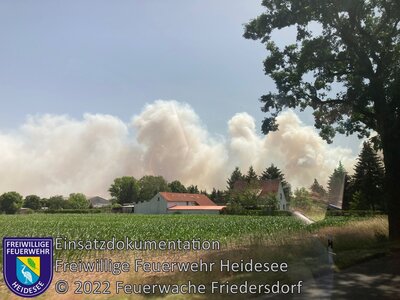 Einsatz 130/2022 | ca. 240 Hektar Waldbrand | Treuenbrietzen Frohnsdorf (PM) (Bild vergrößern)