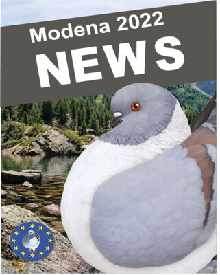 Modena News 2022 (Bild vergrößern)