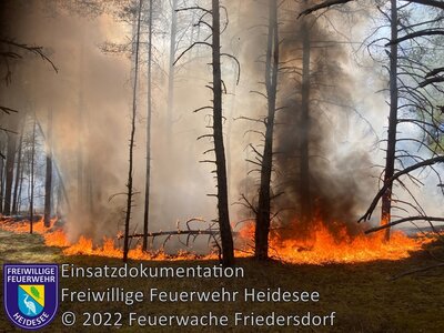 Einsatz 140/2022 | 3500m² Waldbodenbrand | Friedersdorf Wettenweg (Bild vergrößern)