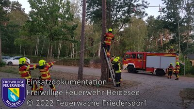 Einsatz 143/2022 | Telefonmast umgefallen | Blossin Waldweg (Bild vergrößern)