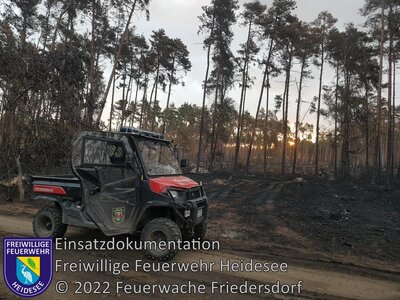 Einsatz 148/2022 | 800 Hektar Waldbodenbrand | Falkenberg/Elster (Bild vergrößern)