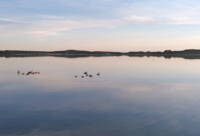 Foto zur Meldung: Badegewässerprüfung: Geringe Sichttiefe im Rangsdorfer See