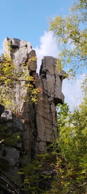 Rundwanderung im Steinwald (kleinster Naturpark Bayerns) bei Pfaben zum Waldhaus über Zipfeltannenfelsen, SteinPilz, Saubad und Quelle