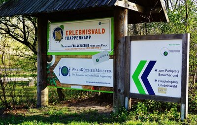 Foto zur Meldung: Erlebniswald am 18. September: Familienwaldspiele