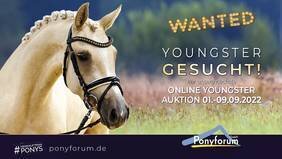 Foto zur Meldung: Ponyforum GmbH: Gesucht werden Youngster
