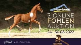 Foto zur Meldung: Ponyforum GmbH: Preisspitze von 17.200,00€ bei der Online Fohlenauktion