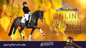 Foto zur Meldung: Ponyforum GmbH: Start der Reitpony Online Auktion!