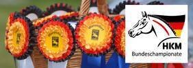 Foto zur Meldung: Nominierung der 3 und 4 jährigen Reitpferde und Ponys zum Bundeschampionat