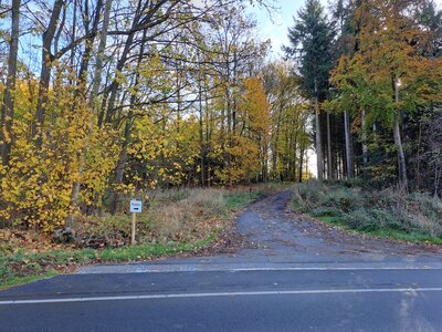 Foto zur Meldung: Bettendorfer pflanzen 1.100 neue Baumsetzlinge im Gemeindewald