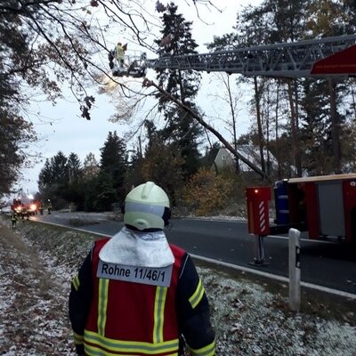 Foto zur Meldung: Einsatzbericht - H1 S130 Baum in Stromleitung, Dorfstraße Rohne