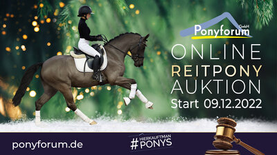 Foto zur Meldung: Ponyforum GmbH: Last Chance 2022 – Start der Reitponyauktion