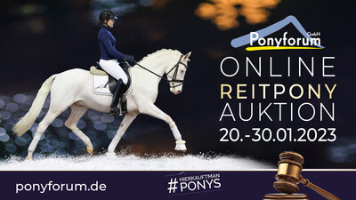 Foto zur Meldung: Ponyforum GmbH: Jahresbeginn mit Reitponykollektion
