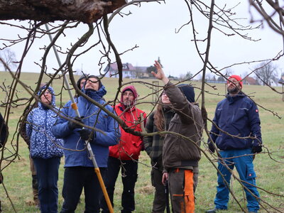 Foto zur Meldung: Seminare zum Obstbaumschnitt