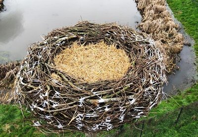 Geschafft: Schmalensee hat jetzt ein Storchennest