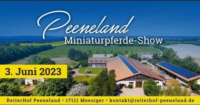 Foto zur Meldung: Peeneland Miniaturpferde - Show