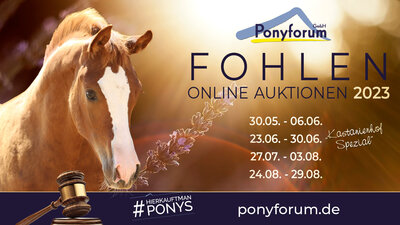 Foto zur Meldung: Ponyforum GmbH: Fohlensommer 2023