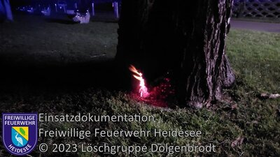 Einsatz 31/2023 | Brennender Baum | Dolgenbrodt Dahme Ufer (Bild vergrößern)