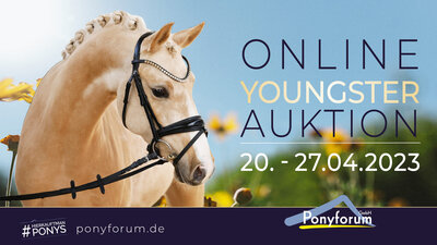 Foto zur Meldung: Ponyforum GmbH: Startschuss für die Online Youngster Auktion