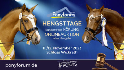 Foto zur Meldung: Ponyforum GmbH: Hengsttage am 11. und 12.11.2023 in Wickrath