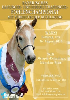 Foto zur Meldung: Bayerisches Haflinger- und Edelbluthaflinger-Fohlenchampionat