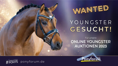 Foto zur Meldung: Ponyforum GmbH: Youngster gesucht für Juni-Auktion