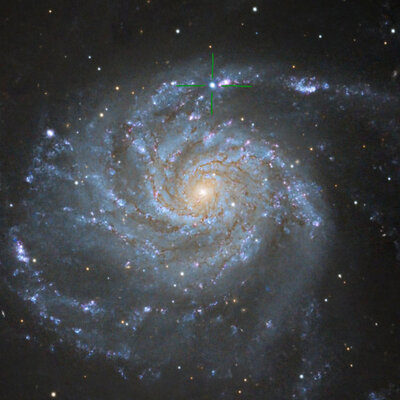 Supernova in der Galaxie M101 fotografiert