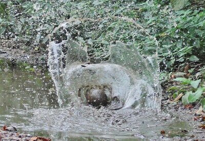 Foto zur Meldung: Wasserwerk Bornhöved: Ein Leck entdeckt; weiterhin Mahnung zur Sparsamkeit mit dem Trinkwasser